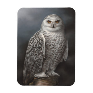 Snowy Owl Foto Magnet