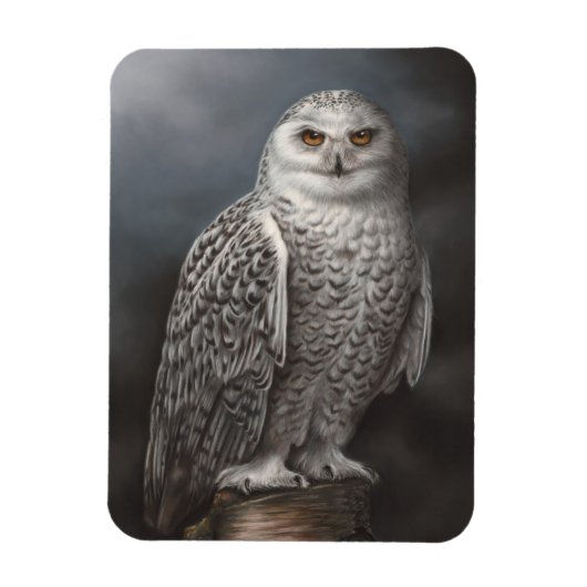 Snowy Owl Foto Magnet (Vertikal)