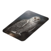 Snowy Owl Foto Magnet (Linke Seite)