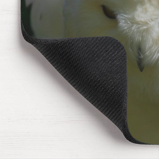 Snowy Owl Goes Floof Bird Lover Custom Name Mousepad (Ecke)