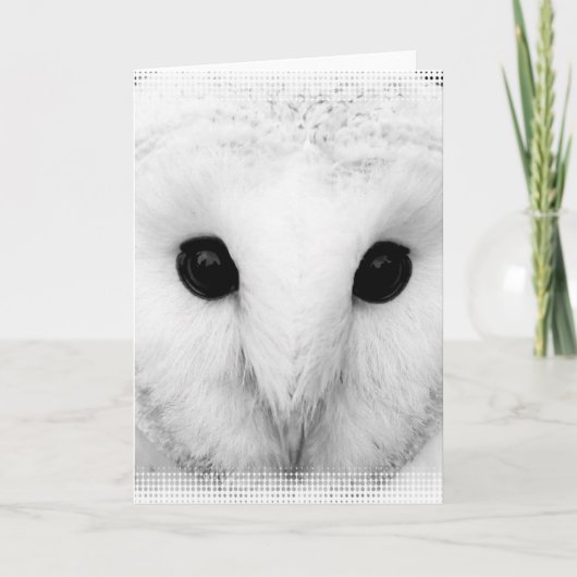 Snowy Owl Grußkarte Karte (Vorderseite)