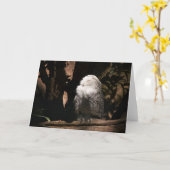 Snowy Owl ・ Grußkarte Karte (Gelbe Blume)