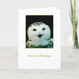 Snowy Owl Holiday Card - Leere Innenseite Feiertagskarte