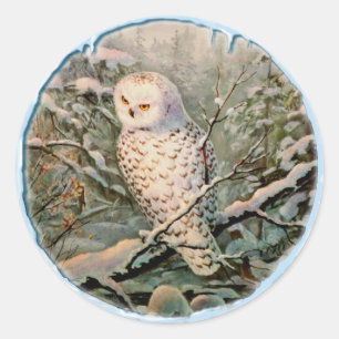 SNOWY OWL & ICLES by SHARON SHARPE Runder Aufkleber