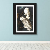 Snowy Owl Illustration von Audubon Leinwanddruck (Insitu (Holzboden))