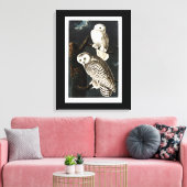 Snowy Owl Illustration von Audubon Leinwanddruck (Insitu (Wohnzimmer))