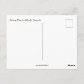 Snowy Owl in Albert Canada Postkarte (Rückseite)