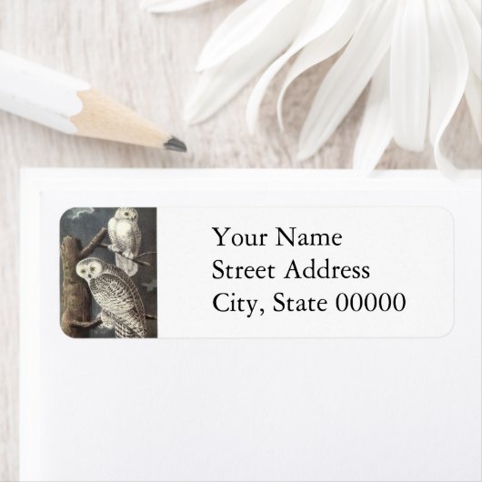 Snowy Owl, John Audubon (Insitu)