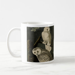 Snowy Owl, John James Audubons Vögel von Amerika Kaffeetasse
