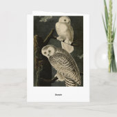Snowy Owl, John James Audubons Vögel von Amerika Karte (Rückseite)