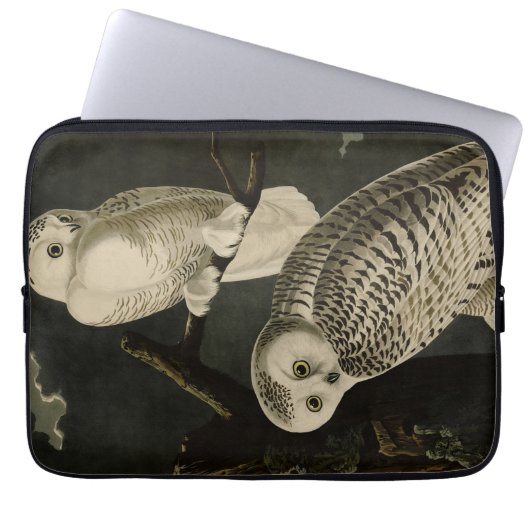 Snowy Owl, John James Audubons Vögel von Amerika P Laptopschutzhülle (Vorderseite)
