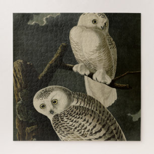 Snowy Owl, John James Audubons Vögel von Amerika Puzzle