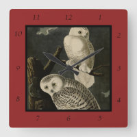 Snowy Owl, John James Audubons Vögel von Amerika