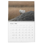Snowy Owl Kalender 2026 (Jan 2026)