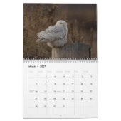 Snowy Owl Kalender 2026 (Mär 2027)