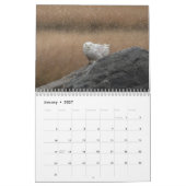 Snowy Owl Kalender 2026 (Jan 2027)