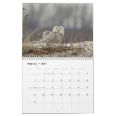 Snowy Owl Kalender 2026 (Feb 2027)