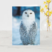 Snowy Owl Karte (Gelbe Blume)