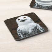 Snowy Owl Küste Getränkeuntersetzer (Linke Seite)