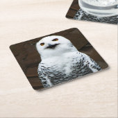 Snowy Owl Küstenercna Rechteckiger Pappuntersetzer (angewinkelt)