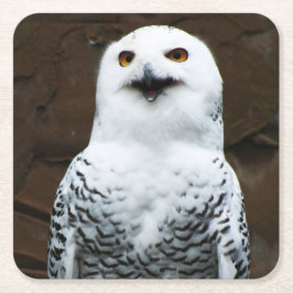 Snowy Owl Küstenercna Rechteckiger Pappuntersetzer