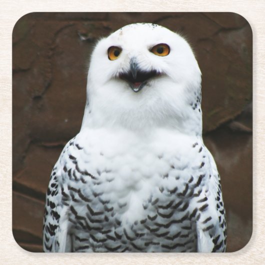 Snowy Owl Küstenercnm Rechteckiger Pappuntersetzer (Vorderseite)