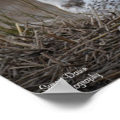 Snowy Owl lächelnd Poster (Ecke)