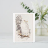 Snowy Owl Lithograph von Edward Lear Postcard Postkarte (Stehend Vorderseite)