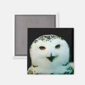 Snowy Owl Magnet (Vorderseite/Rückseite)