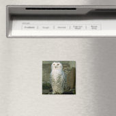 Snowy-Owl-Magnet Magnet (In Situ (Geschirrspüler))