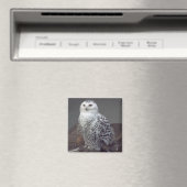 Snowy-Owl-Magnet Magnet (In Situ (Geschirrspüler))