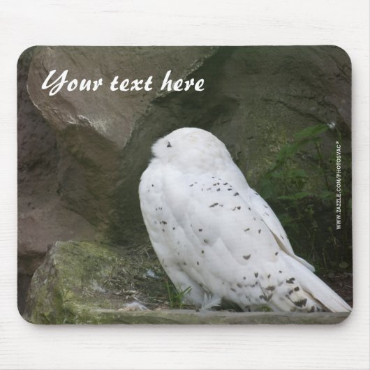 Snowy Owl Mousepad (Vorne)