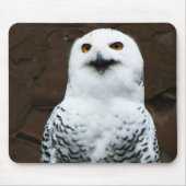 Snowy Owl mpcn Mousepad (Vorne)
