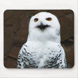 Snowy Owl mpcna Mousepad
