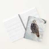 Snowy Owl Notebook Notizblock (Innenseite)
