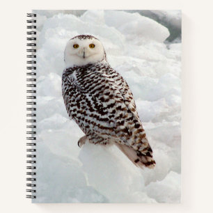 Snowy Owl Notebook Notizblock