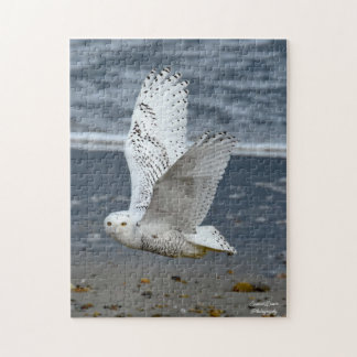 Snowy Owl on a beach Puzzle