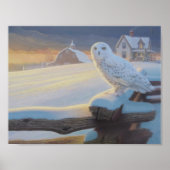 Snowy Owl on a Fence Poster (Vorne)