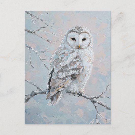Snowy Owl on Winter Branch – Nature Art Postkarte (Vorderseite)