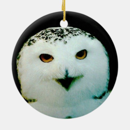 Snowy Owl Ornament (Hinten)