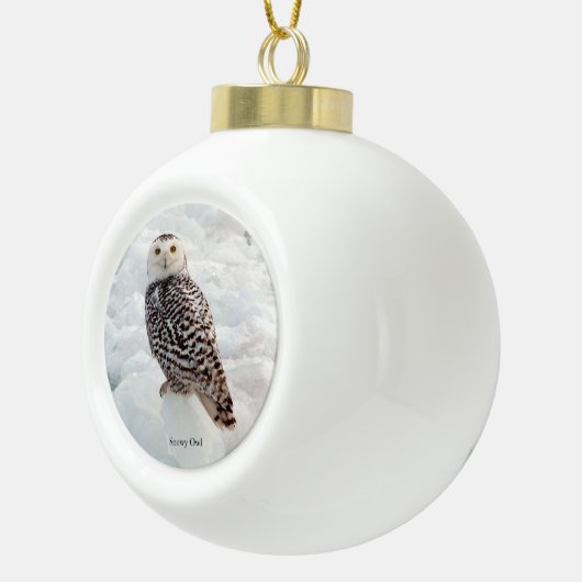 Snowy Owl Ornament (Rechts)