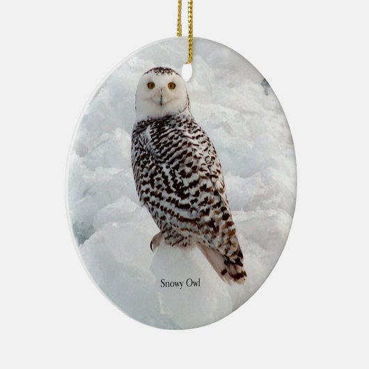 Snowy Owl Ornament (Rechts)