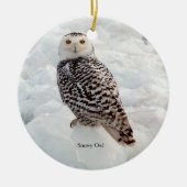 Snowy Owl Ornament (Vorne)