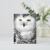 Snowy Owl Postcard Postkarte (Stehend Vorderseite)