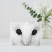 Snowy Owl Postcard Postkarte (Stehend Vorderseite)