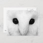 Snowy Owl Postcard Postkarte (Vorne/Hinten)