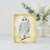 Snowy Owl Postcard Postkarte (Stehend Vorderseite)