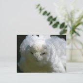 Snowy Owl Postcard Postkarte (Stehend Vorderseite)