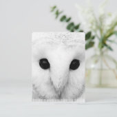 Snowy Owl Postcard Postkarte (Stehend Vorderseite)