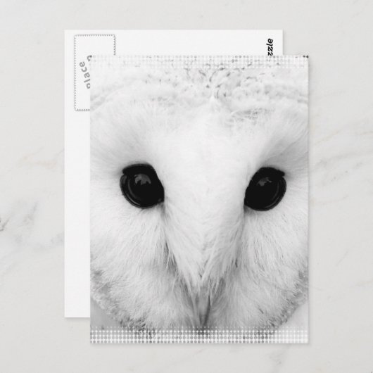 Snowy Owl Postcard Postkarte (Vorne/Hinten)